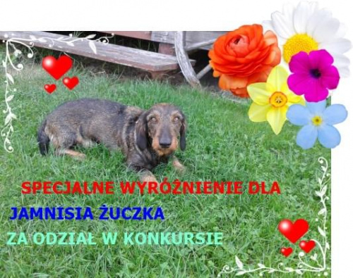 Obrazek