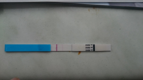7da2d3f2d8f37501med.jpg