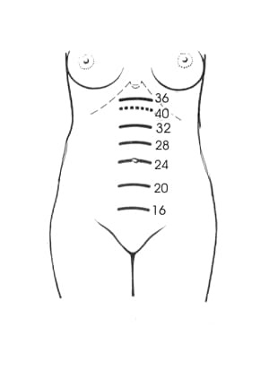 2decd4de16e07838med.jpg