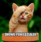 Obrazek
