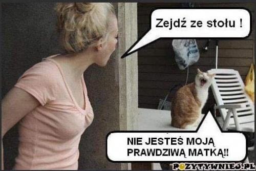 229e5554d4a4cec9med.jpg