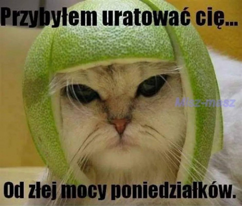 99719c4c2fa9a5efmed.jpg