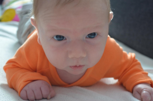 1c0d77fdcb70771emed.jpg