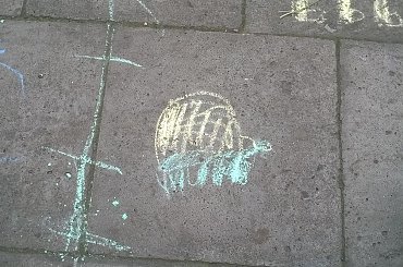 hobby fotografia #Chrzanów #Kraków #małopolska #Polska