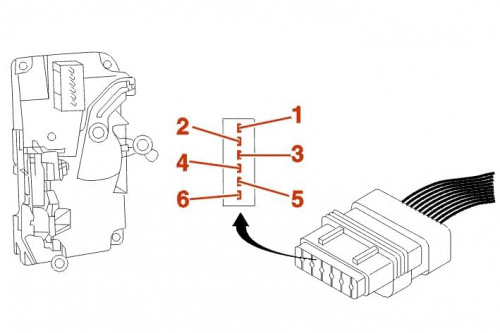P206 wtyczka 6 pin