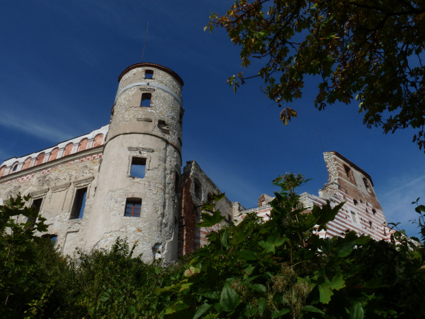zamek w Janowcu