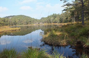 #KristiansandIOkolice