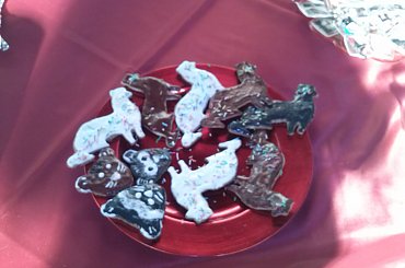 zaczynamy :) od łasuchowania..... #fretka #OSHF #SPF #targi #wystawa #ZooBotanika2014