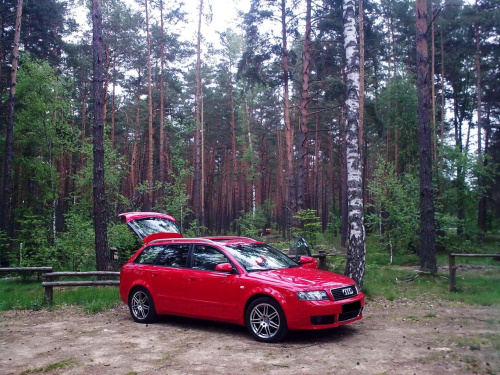 AUDI A4 B6 AVANT Brilliant Red LY3J