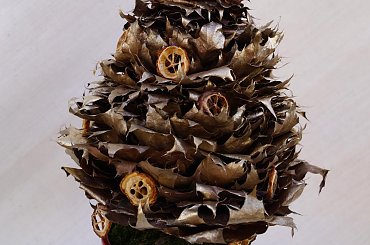 Сhoinkа . Eko-styl. Mój pomysł. Moja praca #BożeNarodzenie #krakow #rękodzieło #stroik #wieniec