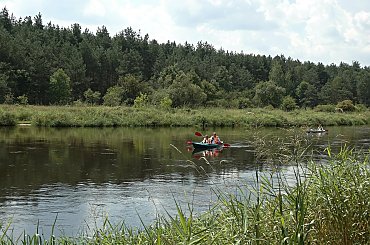 okilice Inowłodza woj. łódzkie #czerwiec #lipiec #rzeka #wakacje