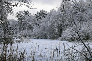 luty #grudzień #gwiazdki #luty #stycvzeń #śnieg #święta #zima
