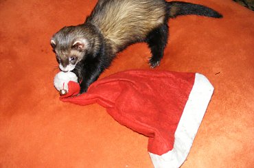 #BożeNarodzenie #ŚwiąteczneFrety #święta