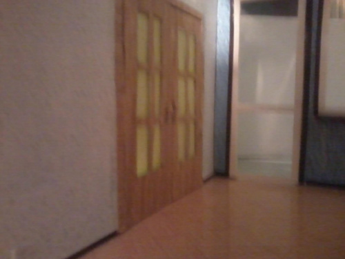 Salon (Drzwi do sypialni) #Frezji15 #makieta