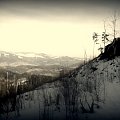 Kamesznica - Beskid Śląski #BaraniaGóra #BeskidŚląski #beskidy #góry