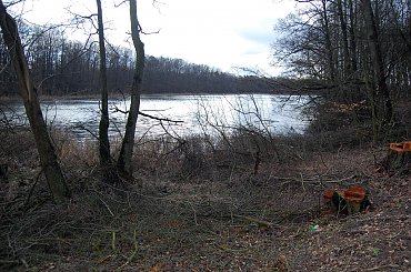 #las #jezioro #wiosna #Mazury #przyroda #krajobrazy