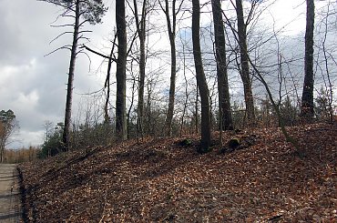 #las #jezioro #wiosna #Mazury #przyroda #krajobrazy