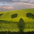 Polska - pole wersja Windows XP