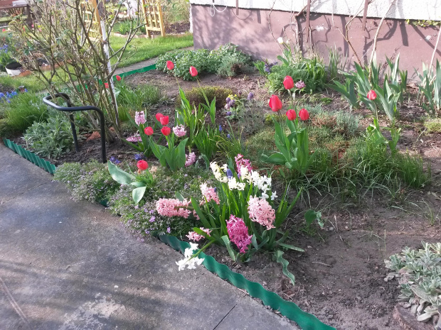 Wiosna w ogrodzie IV 2015
