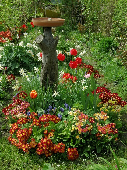 #kwiaty #ogród