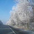Zima, zdjęcie na trasie E40 #zima #drzewa #droga