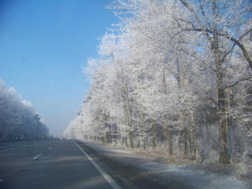 Zima, zdjęcie na trasie E40 #zima #drzewa #droga